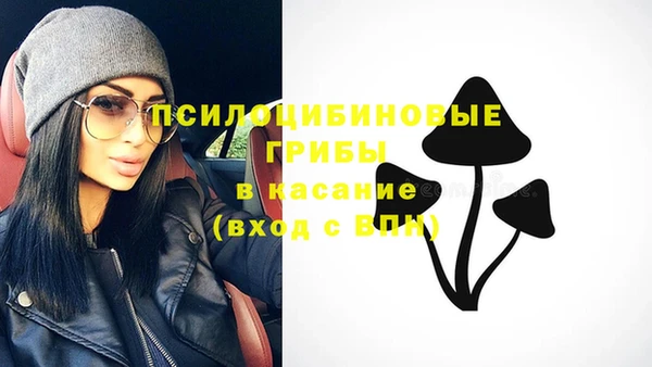хмурый Бикин