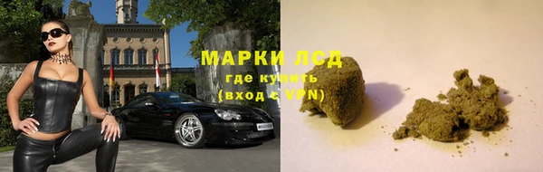 ГАЛЛЮЦИНОГЕННЫЕ ГРИБЫ Балахна