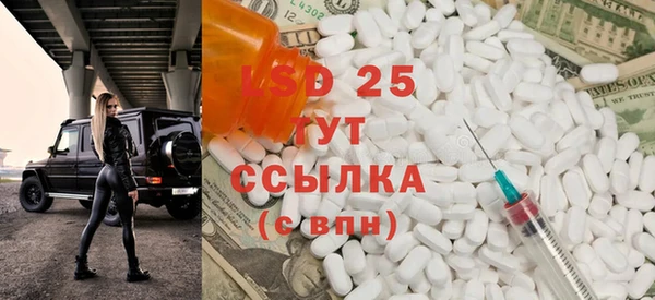 ГАЛЛЮЦИНОГЕННЫЕ ГРИБЫ Балахна