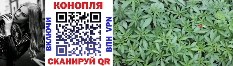 Конопля сатива Долгопрудный